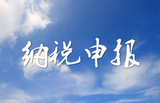 纳税申报