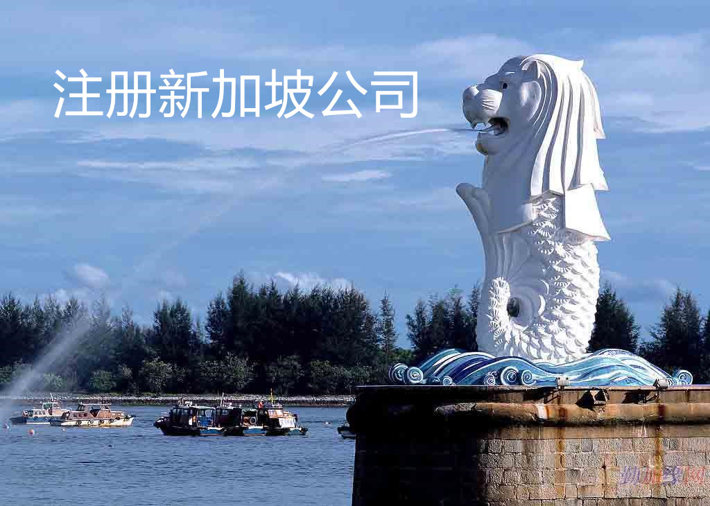注册新加坡公司