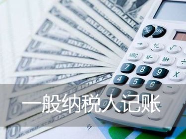 财税资讯