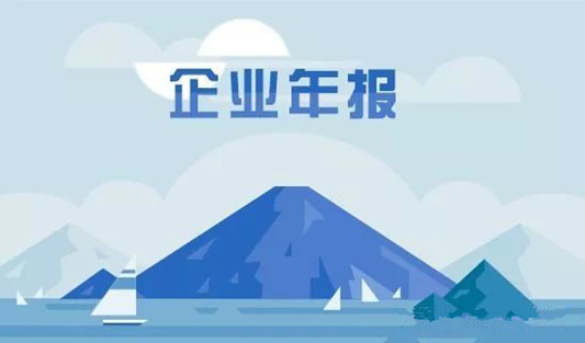 企业年报.jpg