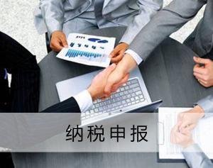 纳税申报.jpg