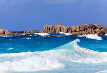 塞舌尔公司逾期年审有什么后果?