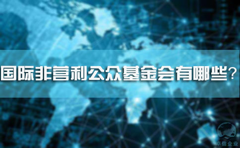 国际非营利公众基金会有哪些